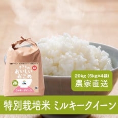 【令和4年産特別栽培米・自家栽培・自家精米で直送】稲敷市産ミルキークイーン20kg(5kg×4袋) | ふるさと納税のお礼品