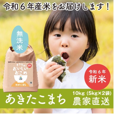 【令和6年産・自家栽培・自家精米・農家直送】稲敷市産あきたこまち10kg(5kg×2袋)無洗米