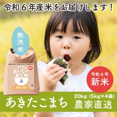 【令和6年産・自家栽培・自家精米・農家直送】稲敷市産あきたこまち20kg(5kg×4袋)無洗米