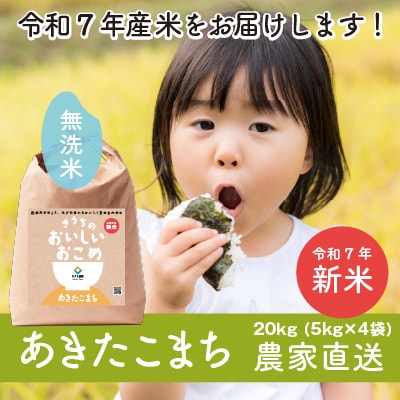 【令和7年産・自家栽培・自家精米・農家直送】稲敷市産あきたこまち20kg(5kg×4袋)無洗米