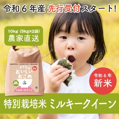 【先行受付・令和6年産・新鮮産地直送】特別栽培米　稲敷市産ミルキークイーン10kg(5kg×2袋)