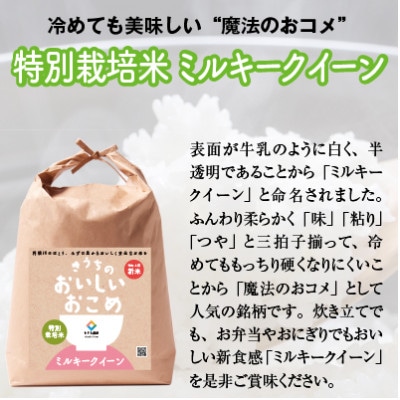 【先行受付・令和6年産・新鮮産地直送】特別栽培米　稲敷市産ミルキークイーン10kg(5kg×2袋)