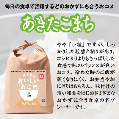 【先行受付・令和6年産】【農家直送】稲敷市産食べくらべセット15kg(5kg×3袋)無洗米