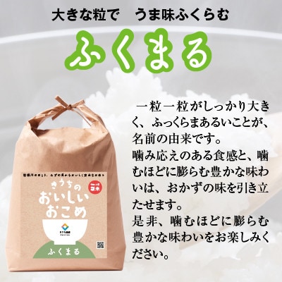 【先行受付・令和6年産】【農家直送】稲敷市産食べくらべセット15kg(5kg×3袋)無洗米