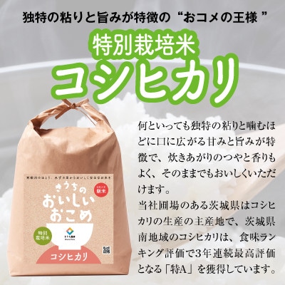 【先行受付・令和6年産・新鮮産地直送】稲敷市産特別栽培米食べくらべセット15kg(5kg×3袋)精米
