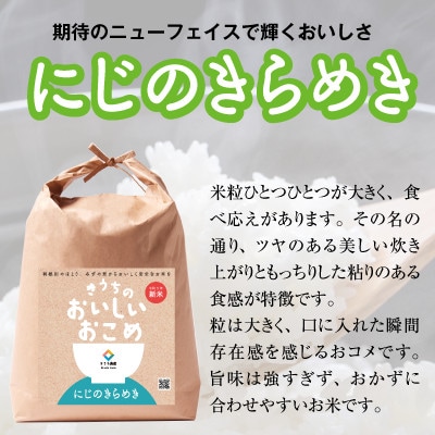 【令和6年産・自家栽培・自家精米・農家直送】稲敷市産にじのきらめき10kg(5kg×2袋)無洗米