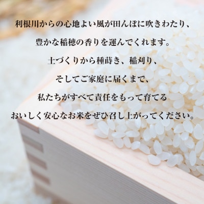 【令和6年産・自家栽培・自家精米直送】特別栽培米　稲敷市産コシヒカリ20kg(5kg×4袋)精米