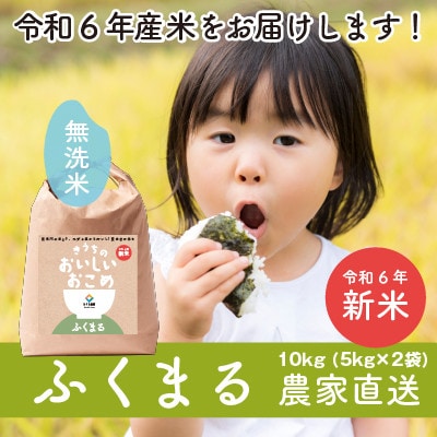 【令和6年産・無洗米・新鮮農家直送】稲敷市産ふくまる10kg(5kg×2袋)
