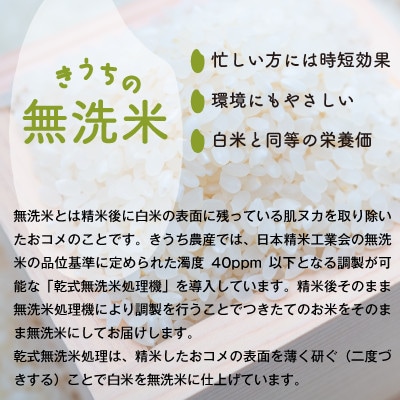 【令和6年産・無洗米・新鮮農家直送】稲敷市産ふくまる10kg(5kg×2袋)