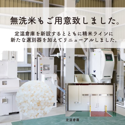 【令和6年産・無洗米・新鮮農家直送】稲敷市産ふくまる10kg(5kg×2袋)