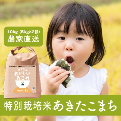 【令和6年産・自家栽培・自家精米・農家直送】特別栽培米稲敷市産あきたこまち 10kg(5kg×2袋)