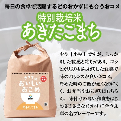 【令和6年産・自家栽培・自家精米・農家直送】特別栽培米稲敷市産あきたこまち 10kg(5kg×2袋)