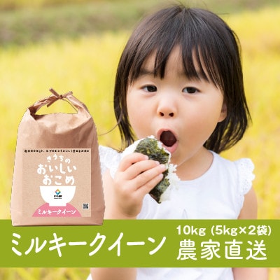【令和6年産・自家栽培・自家精米・農家直送】稲敷市産ミルキークイーン　10kg(5kg×2袋)