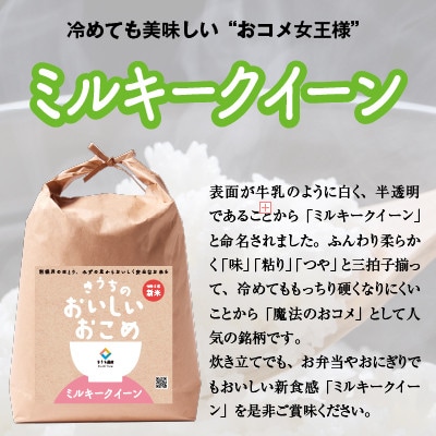 【令和6年産・自家栽培・自家精米・農家直送】稲敷市産ミルキークイーン　10kg(5kg×2袋)