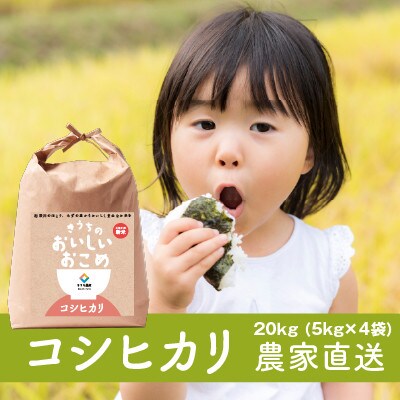 【令和7年産・自家栽培・自家精米・農家直送】稲敷市産コシヒカリ　20kg(5kg×4袋)無洗米