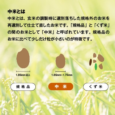 【令和7年産精米・自社栽培・自社精米で一貫生産】稲敷市産厳選ブレンド米　10kg(5kg×2袋)