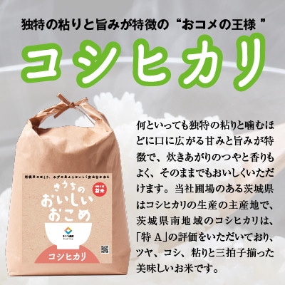 【毎月定期便】コシヒカリ無洗米10kg(5kg×2袋)全3回