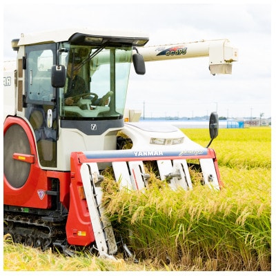 【毎月定期便】ミルキークイーン精米 10kg(5kgx2袋)全3回