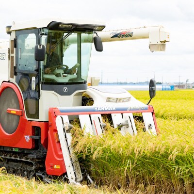 【毎月定期便】ミルキークイーン精米 10kg(5kg×2袋)全3回