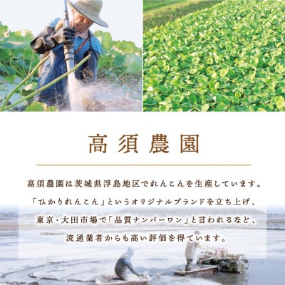 ひかりれんこんギフト 2kg AMサイズ 産地直送 浮島産れんこん(化粧箱入)