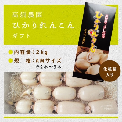 ひかりれんこんギフト 2kg AMサイズ 産地直送 浮島産れんこん(化粧箱入)