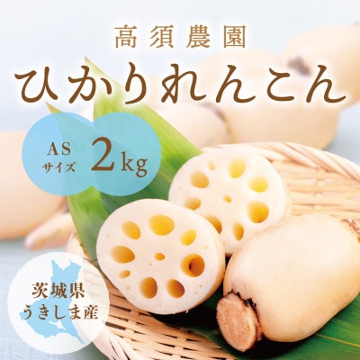 ひかりれんこん 2kg ASサイズ 産地直送 浮島産れんこん