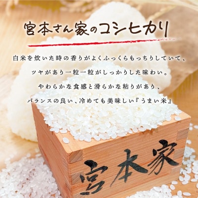 令和6年産　コシヒカリ5kg