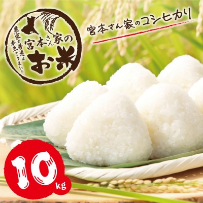 令和6年産　コシヒカリ10kg(5kg×2)