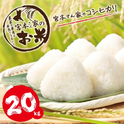 令和6年産　コシヒカリ20kg(5kg×4)