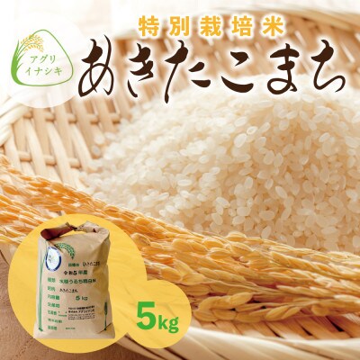 令和6年産　特別栽培米あきたこまち　5kg×1袋