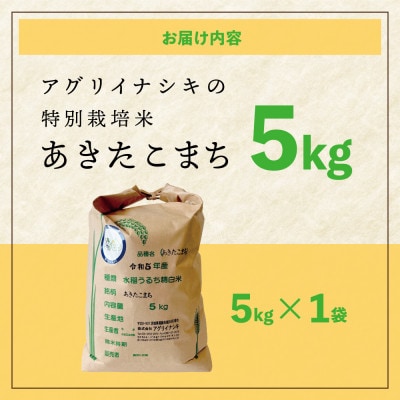 令和6年産　特別栽培米あきたこまち　5kg×1袋