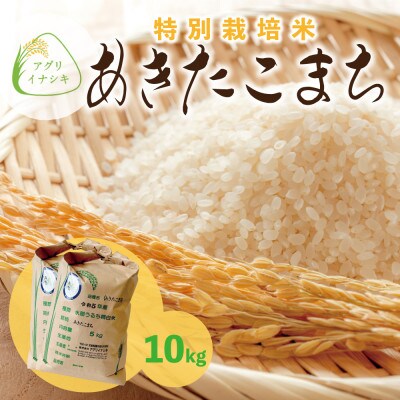 令和6年産　特別栽培米あきたこまち　10kg(5kg×2袋)