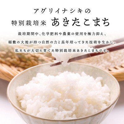 令和6年産　特別栽培米あきたこまち　10kg(5kg×2袋)