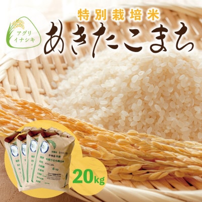 令和6年産　特別栽培米あきたこまち　20kg(5kg×4袋)