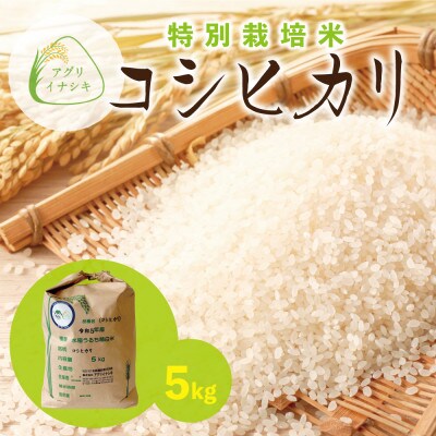 令和6年産　特別栽培米コシヒカリ　5kg