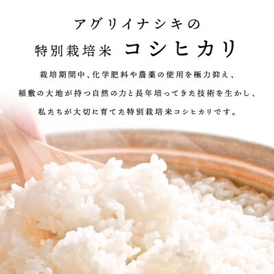 令和6年産　特別栽培米コシヒカリ　5kg