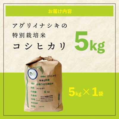 令和6年産　特別栽培米コシヒカリ　5kg