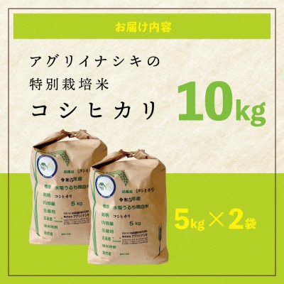 令和6年産　特別栽培米コシヒカリ　10kg(5kg×2袋)