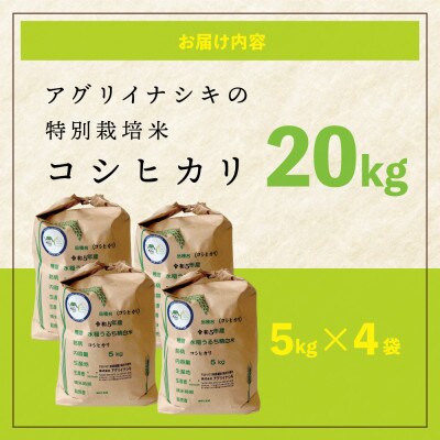 令和6年産　特別栽培米コシヒカリ　20kg(5kg×4袋)