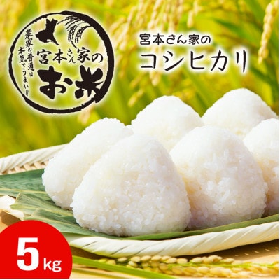 <令和7年産>茨城県稲敷市産コシヒカリ 精米5kg