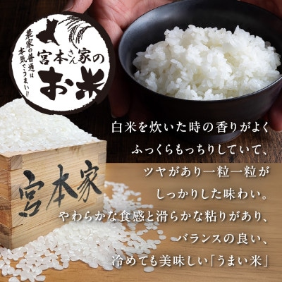 <令和7年産>茨城県稲敷市産コシヒカリ 精米10kg(5kg×2袋)
