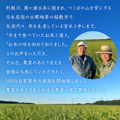 <令和7年産>茨城県稲敷市産コシヒカリ 精米20kg(10kg×2袋)