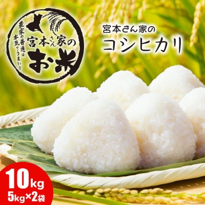 《令和8年産》茨城県稲敷市産コシヒカリ 精米10kg(5kg×2袋)