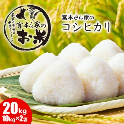 《令和8年産》茨城県稲敷市産コシヒカリ 精米20kg(10kg×2袋)