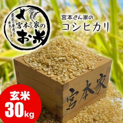 【令和8年産】茨城県稲敷市産コシヒカリ 玄米30kg