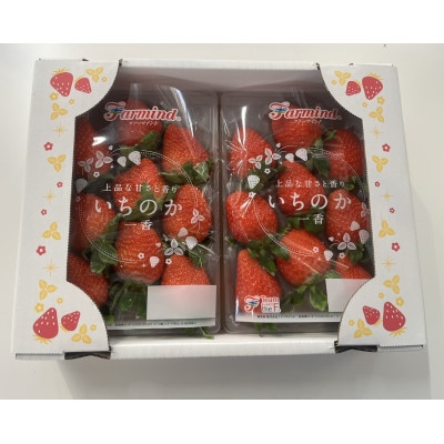 茨城県産いちご「いちのか」大粒～中粒　2パック入り×1箱
