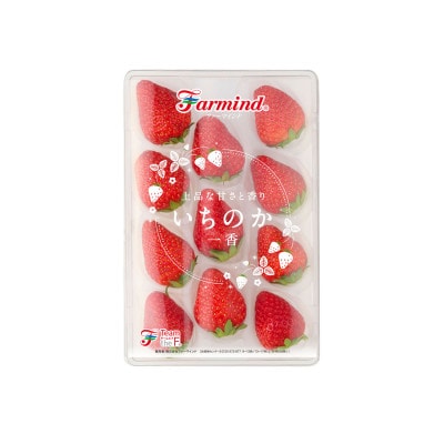 茨城県産いちご「いちのか」大粒～中粒　2パック入り×1箱