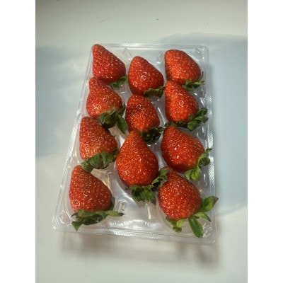 茨城県産いちご「いちのか」大粒～中粒　2パック入り×1箱