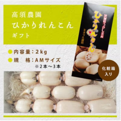 ひかりれんこんギフト 2kg AMサイズ 産地直送 浮島産れんこん(化粧箱入)