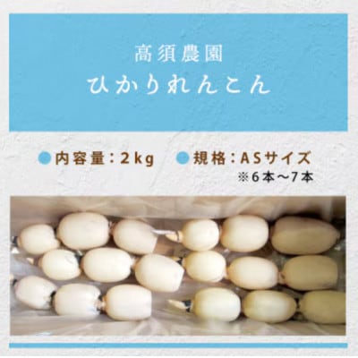 ひかりれんこん 2kg ASサイズ 産地直送 浮島産れんこん